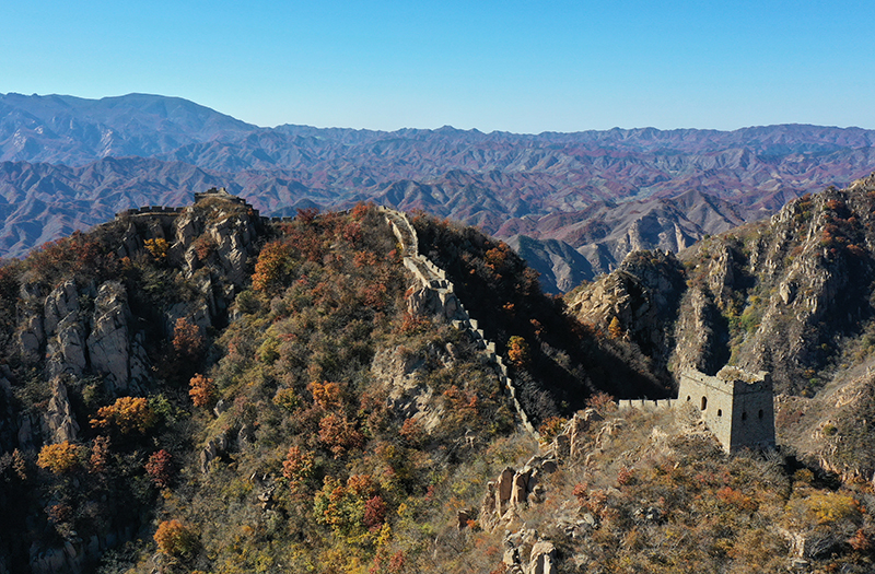 河北秦皇岛：长城秋色入画来