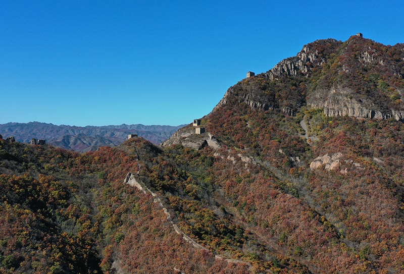 河北秦皇岛：长城秋色入画来