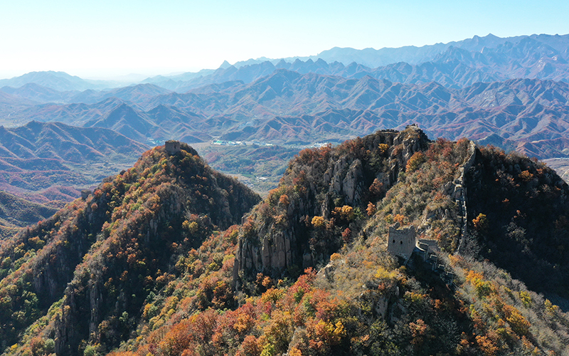 河北秦皇岛：长城秋色入画来