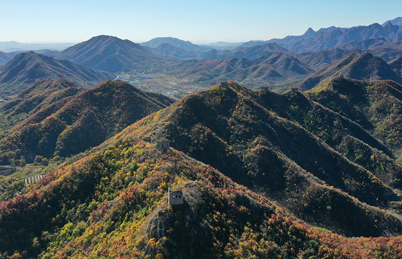 河北秦皇岛：长城秋色入画来