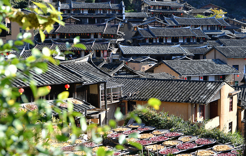 福建尤溪：诗意桂峰 晒秋人家