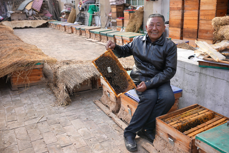 陕西延安：残疾人蜂农的“甜蜜”事业