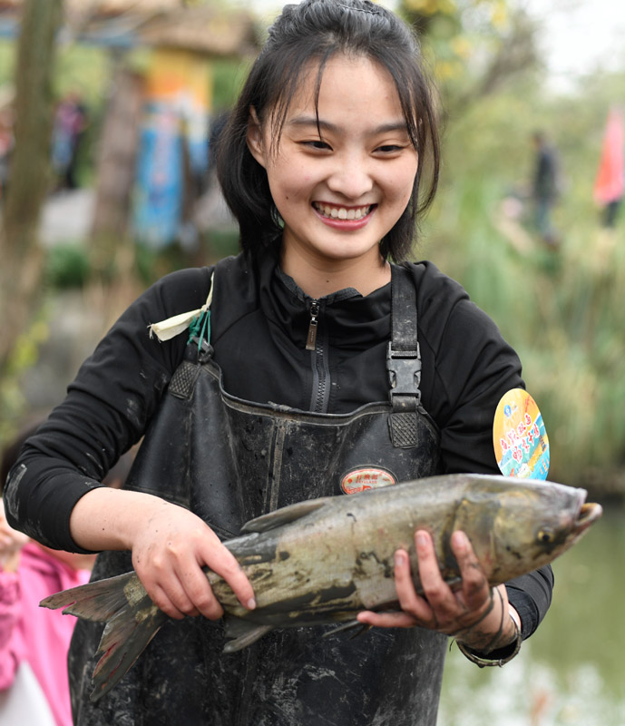 杭州：西溪湿地 乐享“干塘”捕鱼