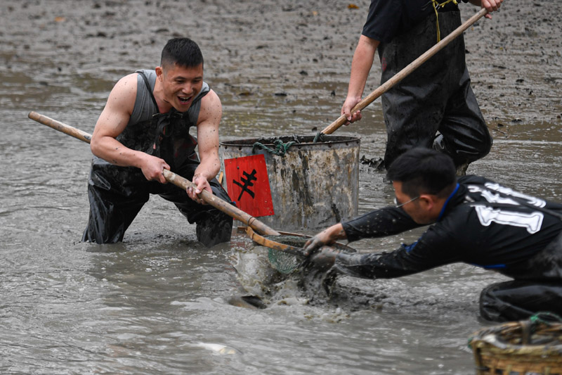 杭州：西溪湿地 乐享“干塘”捕鱼