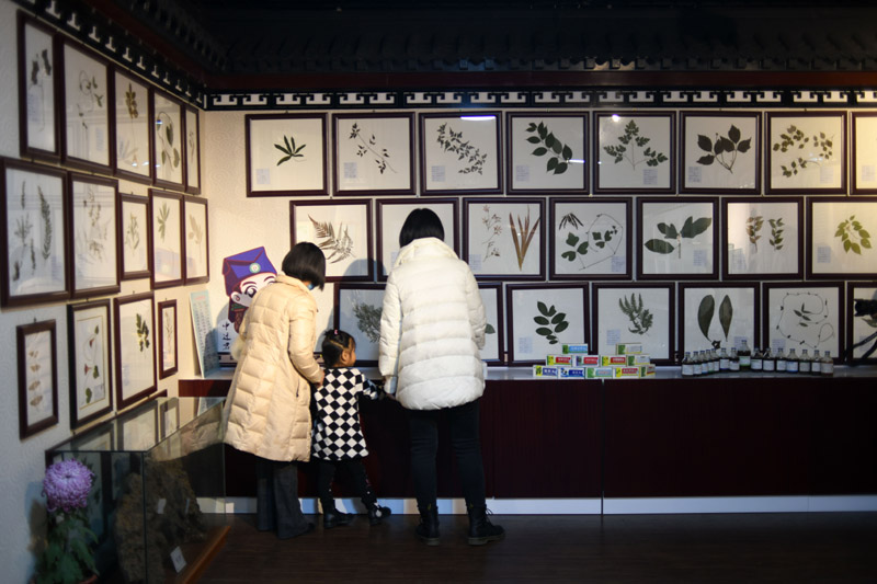 河北迁安：打造中医药文化展馆 传承中医药文化
