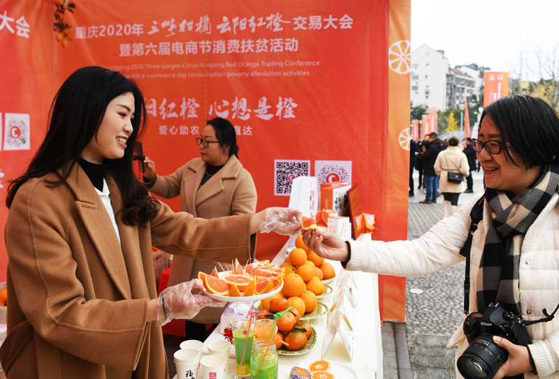 重庆市2020年三峡柑橘·云阳红橙交易大会拉开帷幕