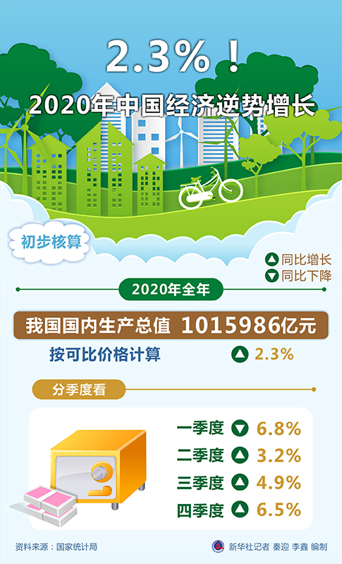 2020年中国经济逆势增长