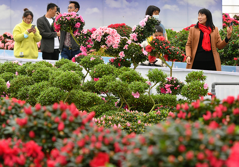 福建永福：花卉产业助增收