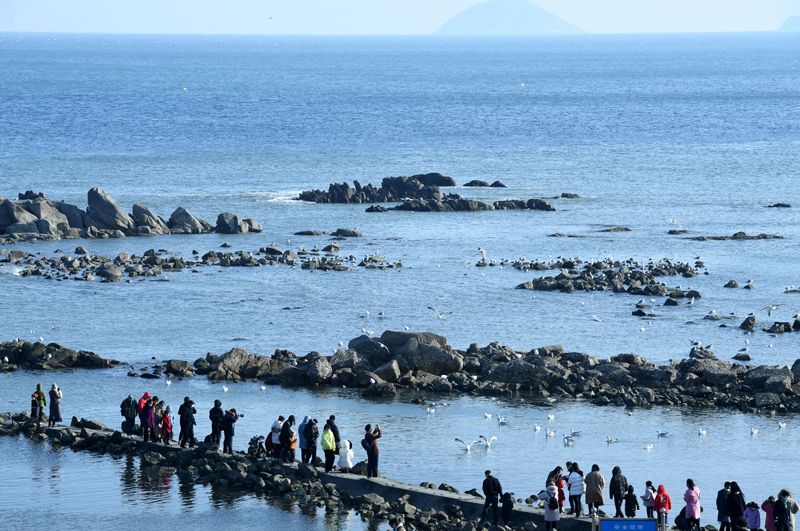 青岛：亲近大海 乐享假期