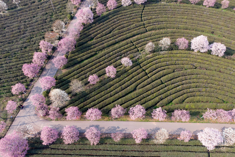 江西南昌：春游凤凰沟