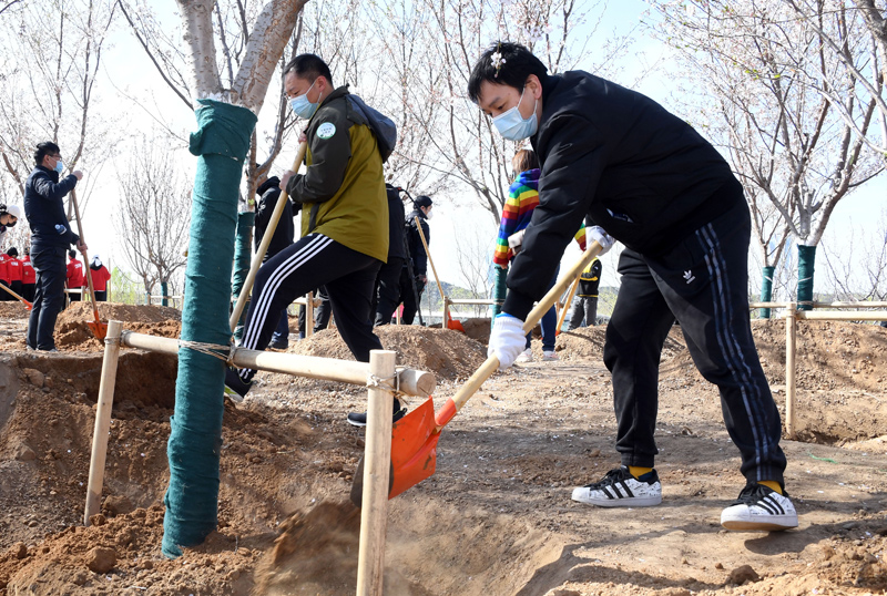 “添绿冬奥 低碳有我”主题植树活动在京举办