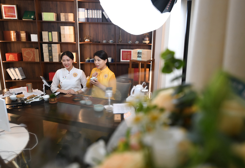 福建福鼎：茶产业促进乡村振兴