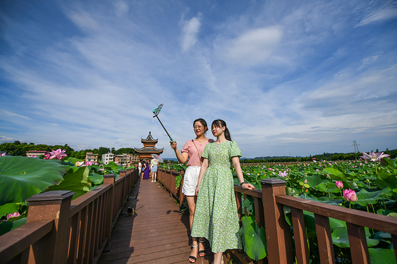 湖南常宁：农旅融合助增收