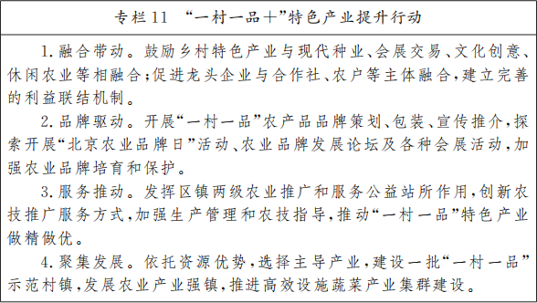 《北京市“十四五”时期乡村振兴战略实施规划》印发：健全农房建设质量安全制度规范