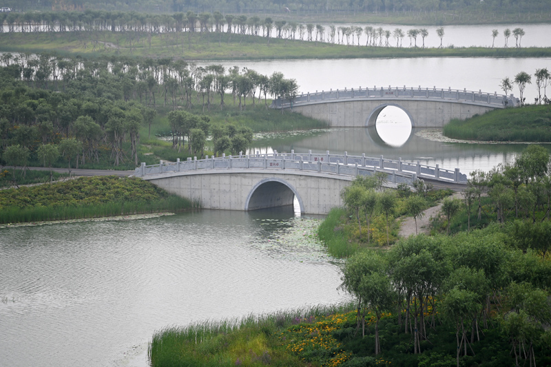 天津：打造生态廊道 建设城市“绿肺”