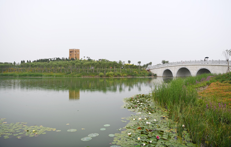 天津：打造生态廊道 建设城市“绿肺”