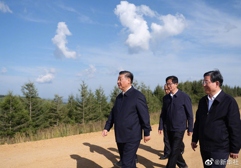  习近平在塞罕坝机械林场考察调研