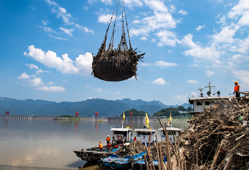 湖北秭归：清漂护长江