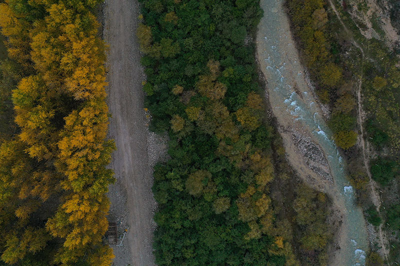 秋日高原林场