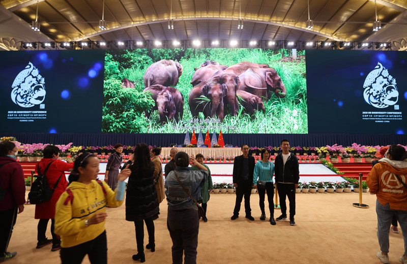 昆明：COP15会场今日起免费向公众开放