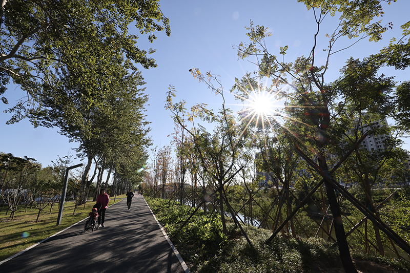 北京永定河引水渠景观提升工程完工