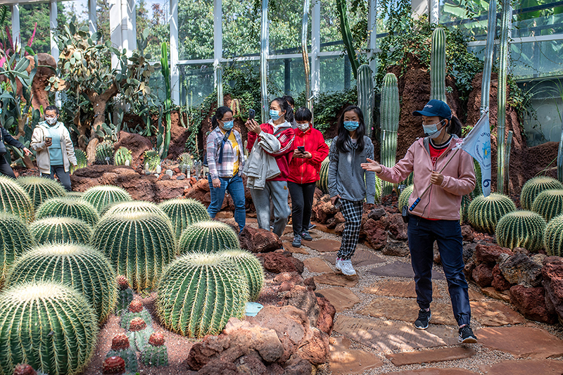 昆明植物园“扶荔宫”实行线上预约参观