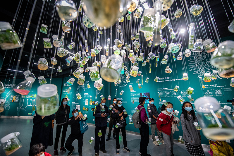 昆明植物园“扶荔宫”实行线上预约参观
