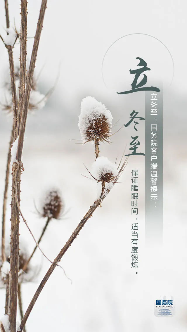 今日立冬 | 立冬至，寒意侵，冬天来了