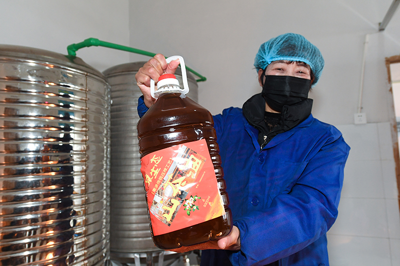 浙江建德：特色油茶产业助力共同富裕