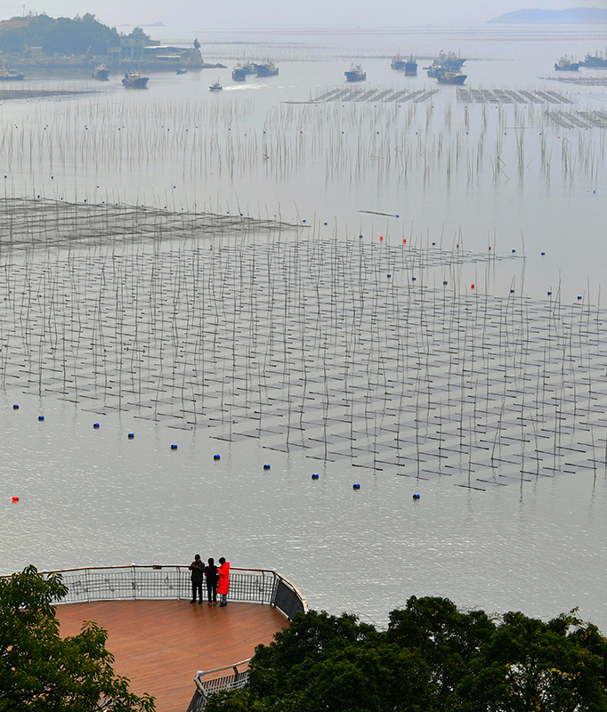 福建霞浦：冬日水墨滩涂
