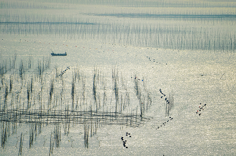福建霞浦：冬日水墨滩涂