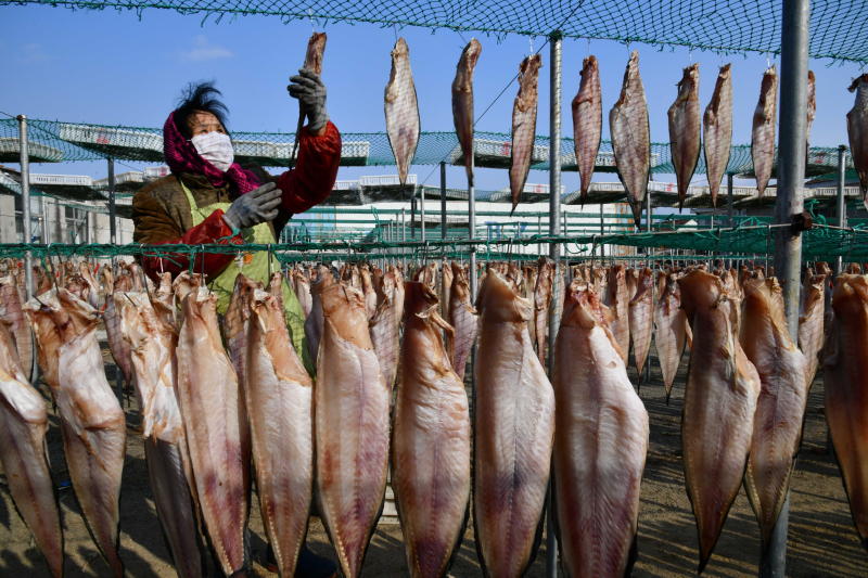 山东渔村：特色鱼干供应市场