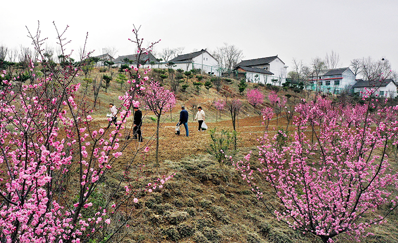 陕西洛南：打造秦岭山水乡村