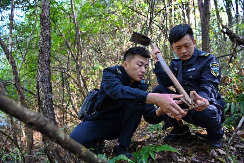 福建武夷山：国家公园守护人