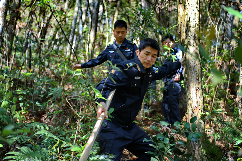 福建武夷山：国家公园守护人