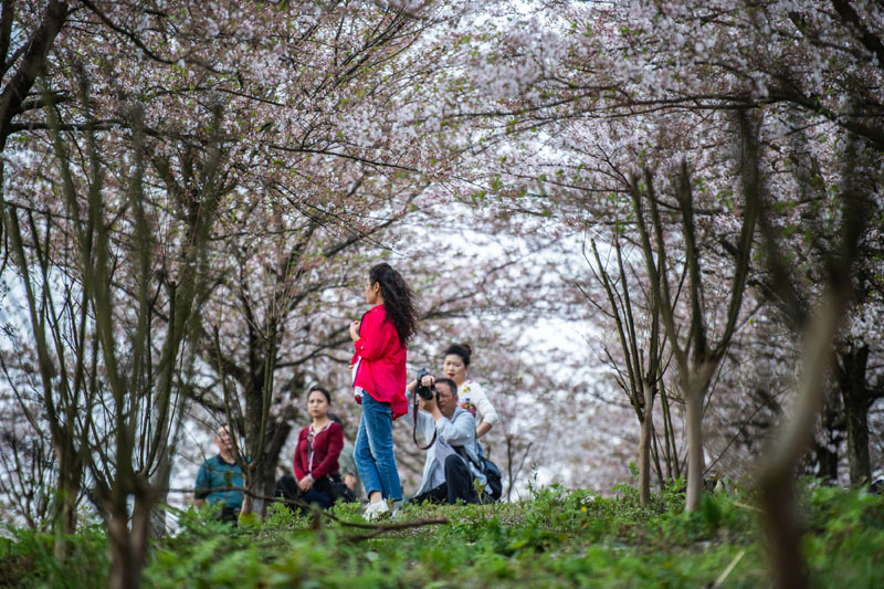 春分时节享春光