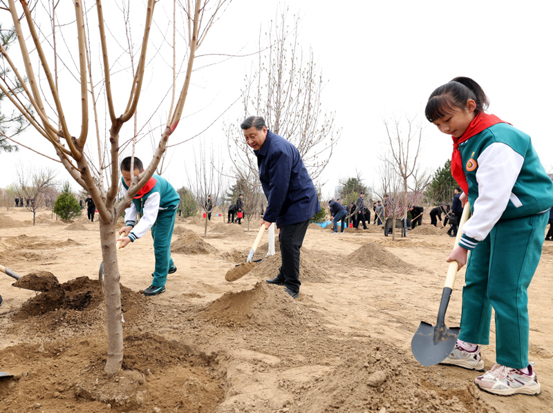 习近平参加首都义务植树活动