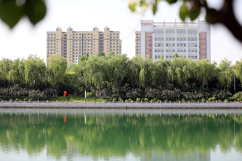 石家庄行唐：引水增绿 打造县域生态风景带