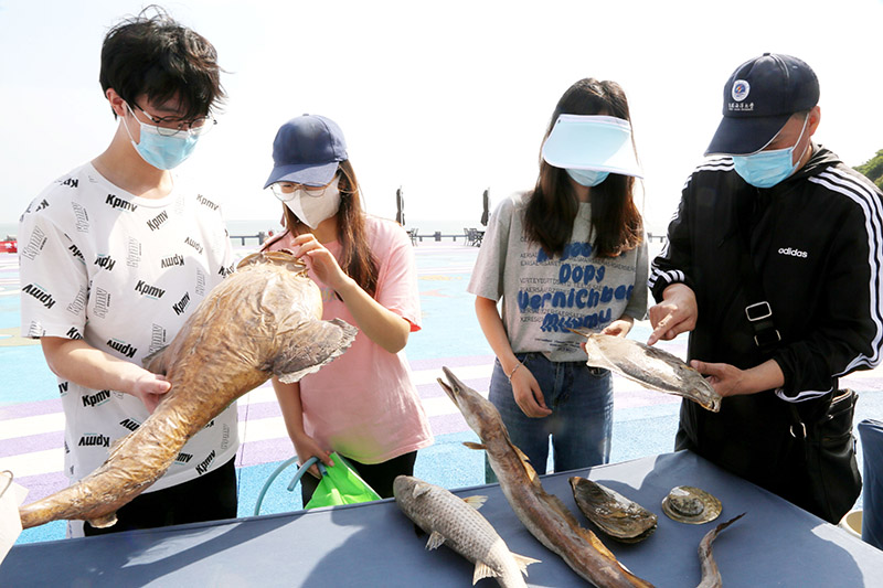 世界海洋日：保护海洋 爱护家园