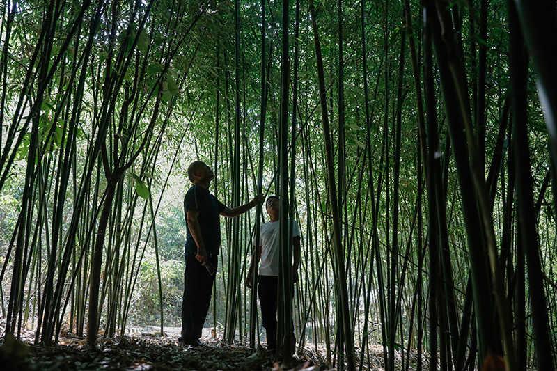 河南叶县：小竹编“编”出幸福新生活