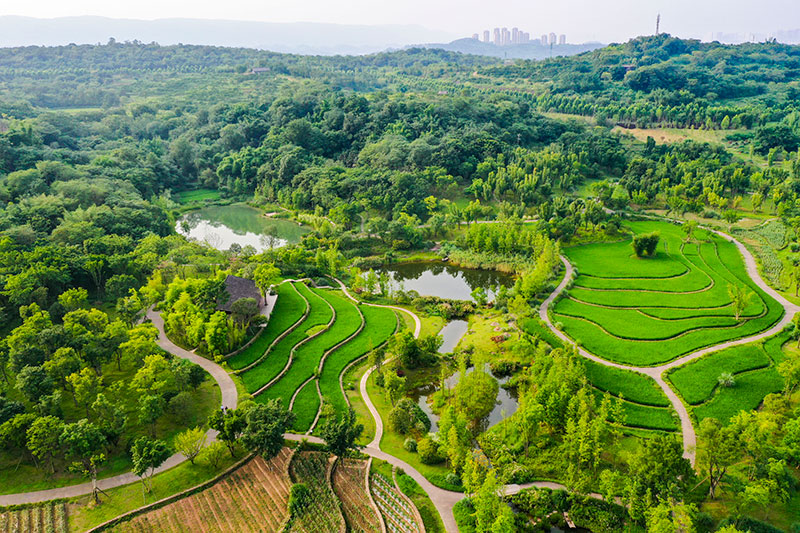 重庆：“生态明珠”风景美