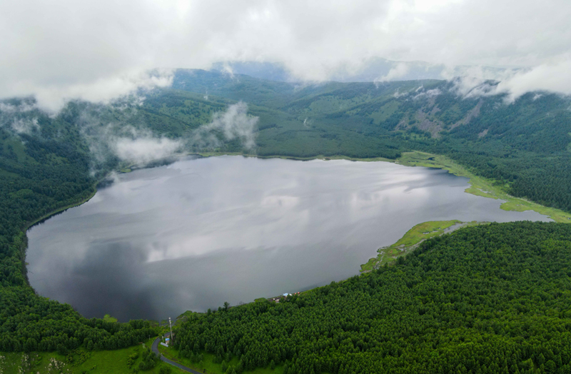 阿尔山国家森林公园夏日美