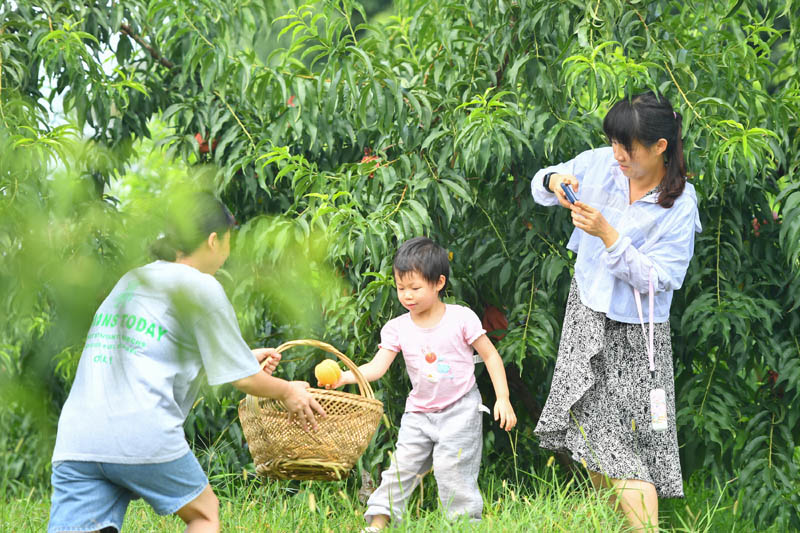 农旅融合助力乡村振兴