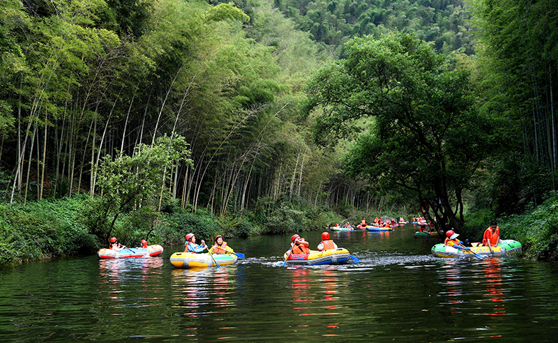 依靠绿水青山_发展村庄观察 图3