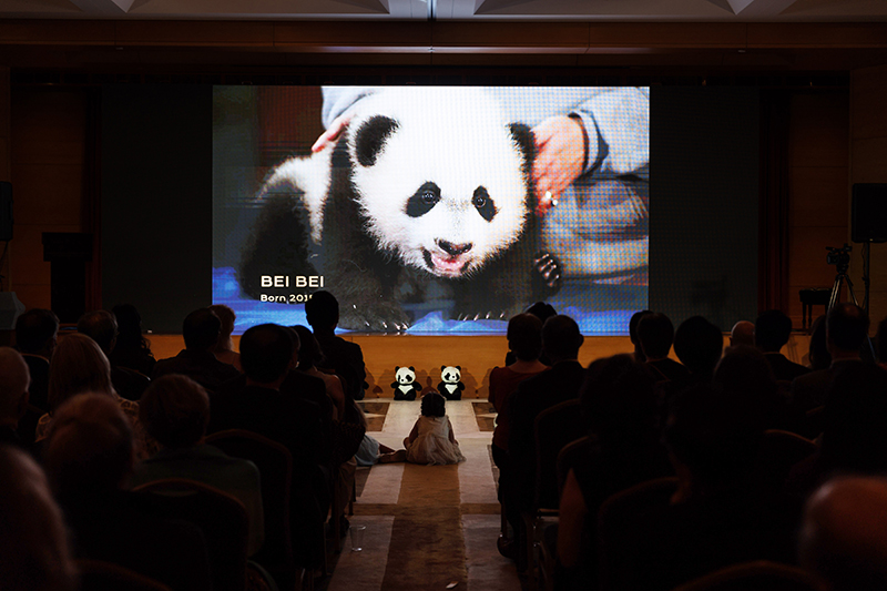 中国驻美使馆同美国史密森学会国家动物园联合举办“大熊猫之夜”招待会
