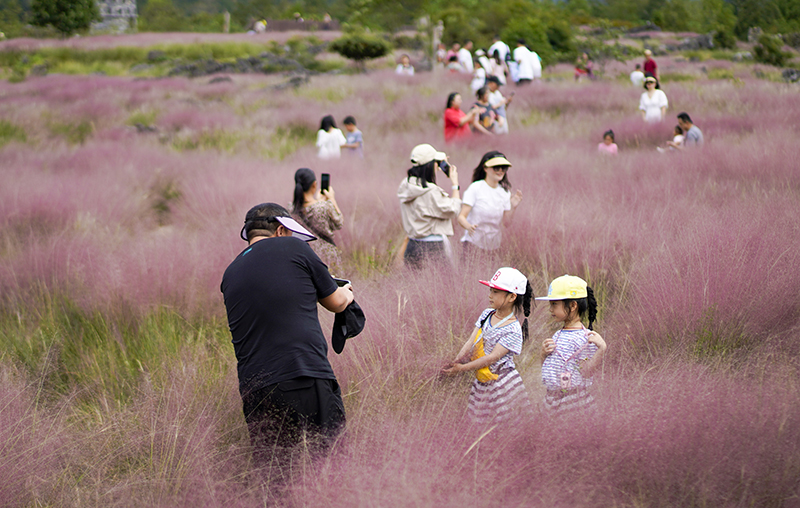 重庆酉阳：赏花武陵山间