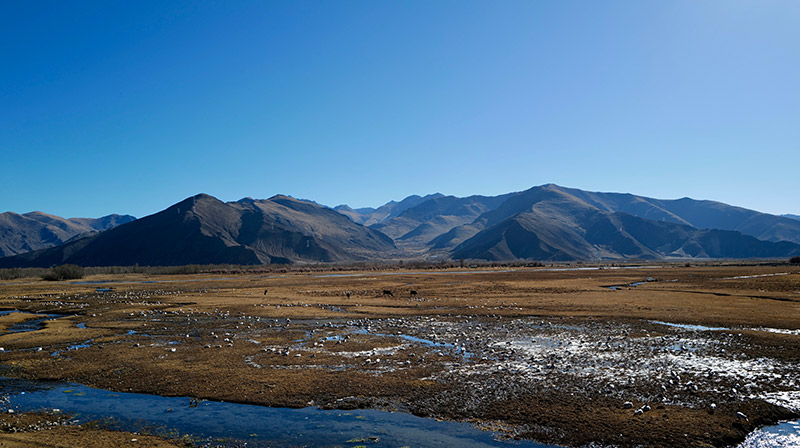 拉萨唐嘎湿地：珍稀鸟类的冬季乐园