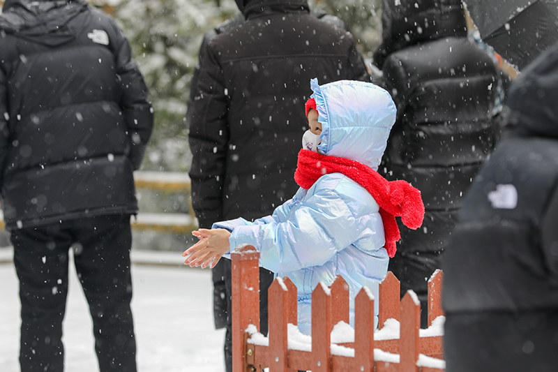 湖南张家界：新年降雪景如画