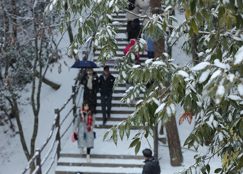 湖南张家界：新年降雪景如画