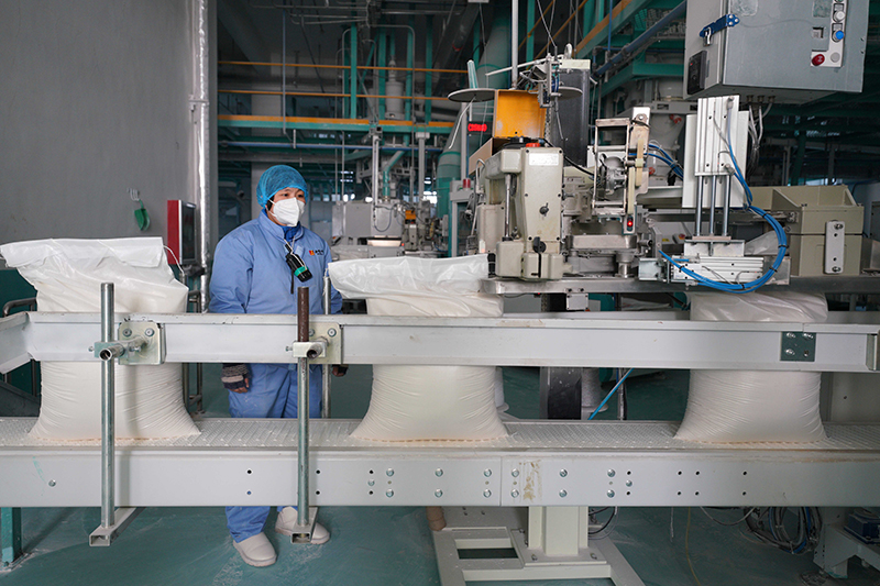 河北柏乡：面粉加工企业生产忙